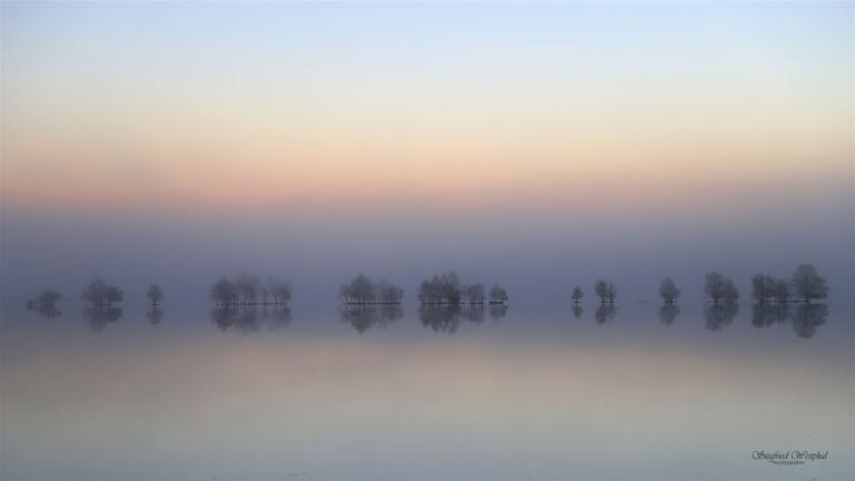42. Morgennebel im Tister Moor, 3 mm Acrylglas vor Alu-Dibond | 80 x 45 cm | 195,- €