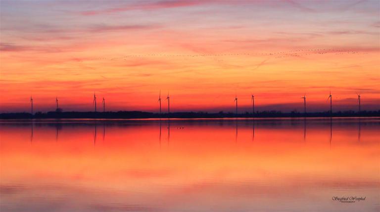 7. Kranichzug am Abend, 3 mm Acrylglas vor Alu-Dibond | 120 x 67 cm | 295,- €